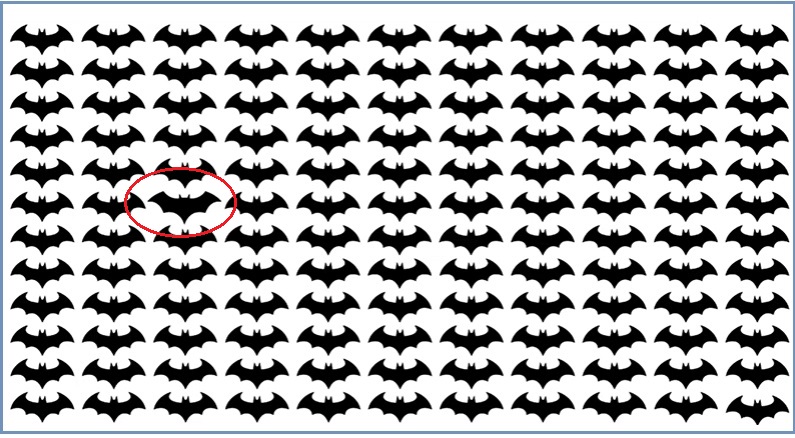 خفاش متفاوت را سریع پیدا کن (معمای تصویری)