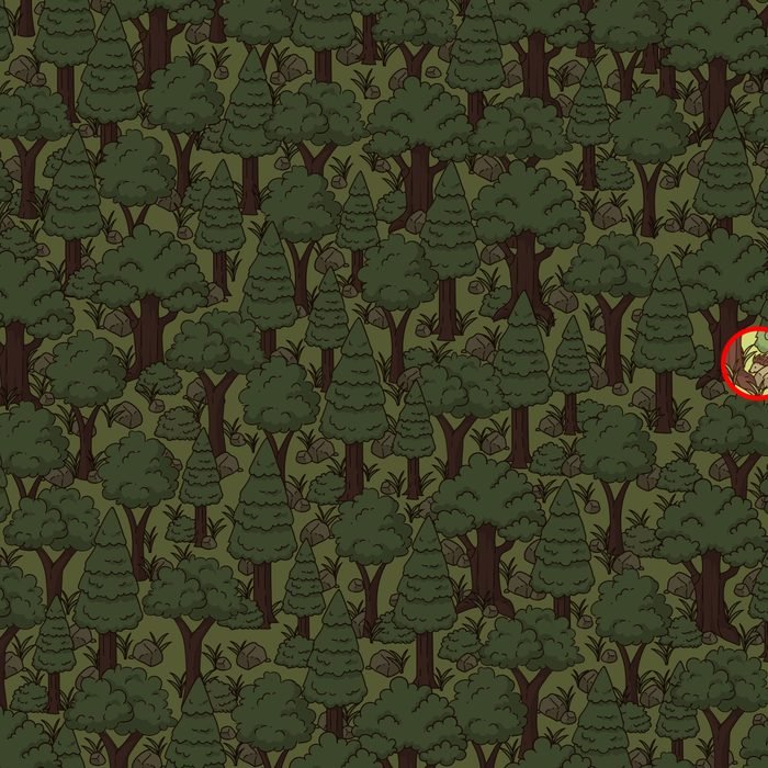 آیا می توانید خارپشت پنهان شده در جنگل را پیدا کنید؟ (تصویر)