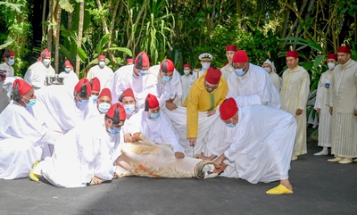 پادشاه مراکش: به عنوان امیرالمومنین، حرام خدا را حلال نمی کنم