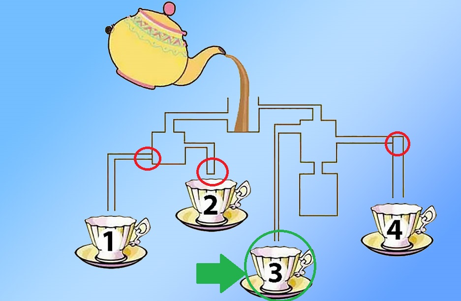 تست هوش و دقت: کدام یک از این 4 فنجان را انتخاب می کنید؟!