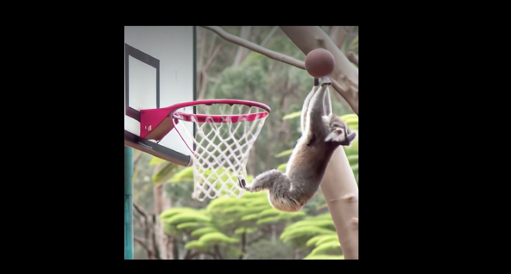 هوش مصنوعی و تحول در روند تولید تصاویر