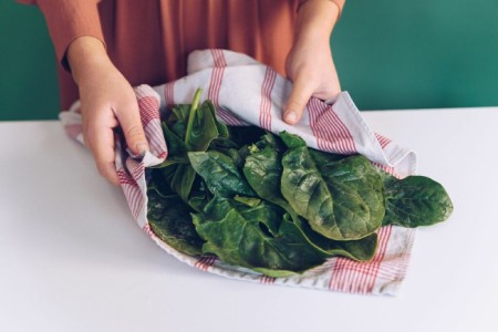 روش نگهداری اسفناج هم در یخچال و هم فریزر روش نگهداری اسفناج هم در یخچال و هم فریزر