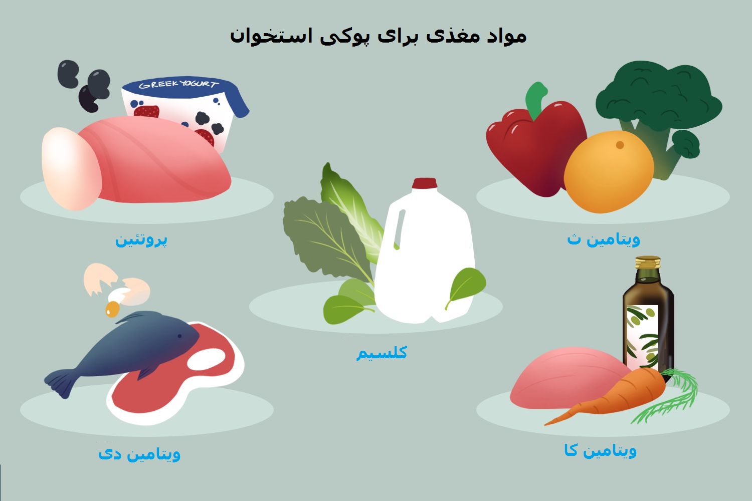 همراه با بهترین رژیم غذایی برای بیماران مبتلا به پوکی استخوان همراه با بهترین رژیم غذایی برای بیماران مبتلا به پوکی استخوان