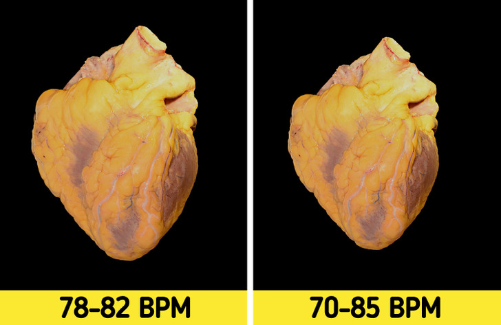 10 راز عجیب درباره بدن انسان که نمی دانستید 10 راز عجیب درباره بدن انسان که نمی دانستید
