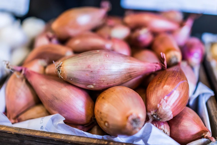 چرا باید موسیر بخوریم؟ از ارزش تغذیه ای تا فواید شگفت انگیز چرا باید موسیر بخوریم؟ از ارزش تغذیه ای تا فواید شگفت انگیز