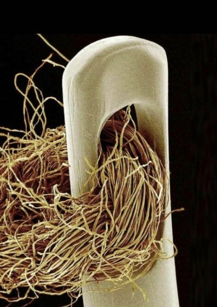 نخ و سوزن از نمایی متفاوت