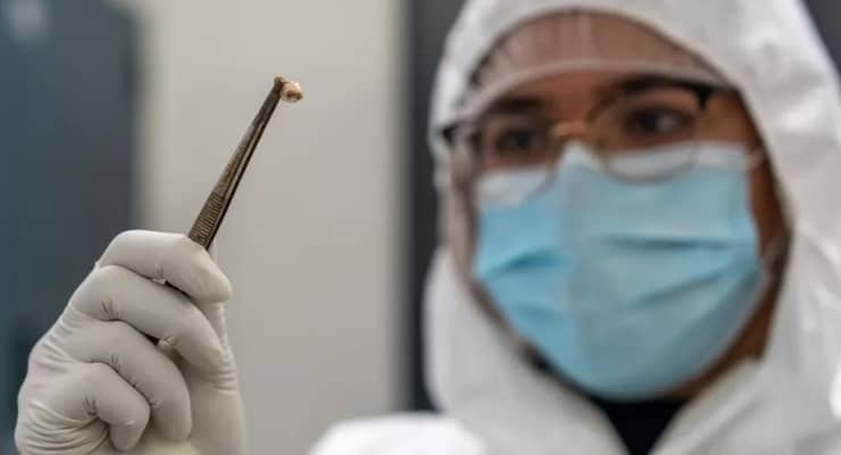 چگونه پاندمی طاعون ۷۰۰ سال پیش هنوز بر ما تاثیر می‌گذارد؟