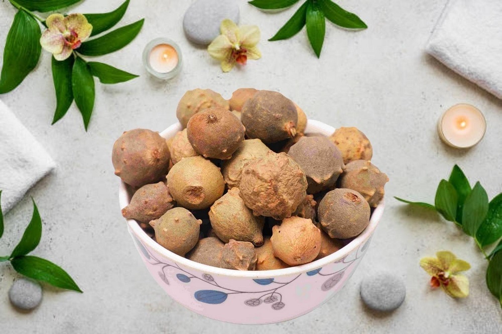 هرآنچه باید در مورد گیاه خارق العاده “دارمازو” بدانیم هرآنچه باید در مورد گیاه خارق العاده “دارمازو” بدانیم