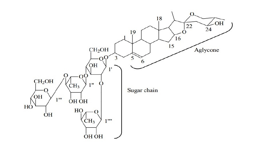 ساپونین ها؛ ترکیب طبیعی مهم برای بدن که مشکلات را می شورد و می برد! (+عکس) ساپونین ها؛ ترکیب طبیعی مهم برای بدن که مشکلات را می شورد و می برد! (+عکس)