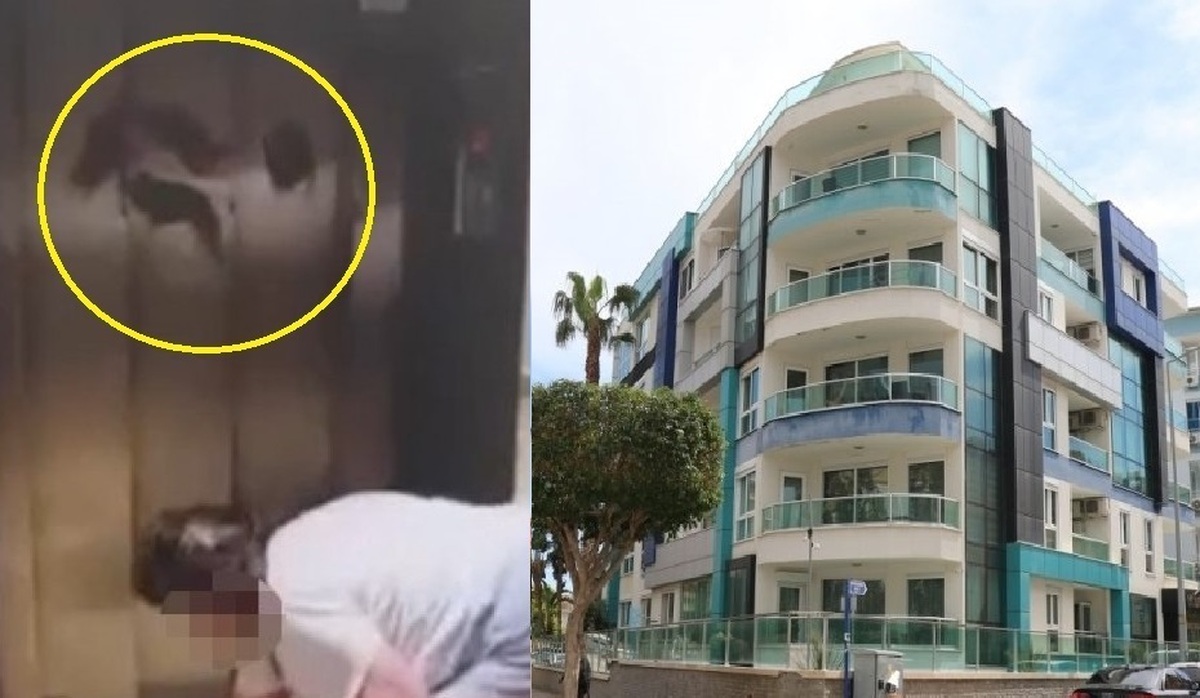 آبرو ریزی عجیب یک زن ایرانی در آنتالیا ؛ دولت ترکیه اخراجش کرد آبرو ریزی عجیب یک زن ایرانی در آنتالیا ؛ دولت ترکیه اخراجش کرد