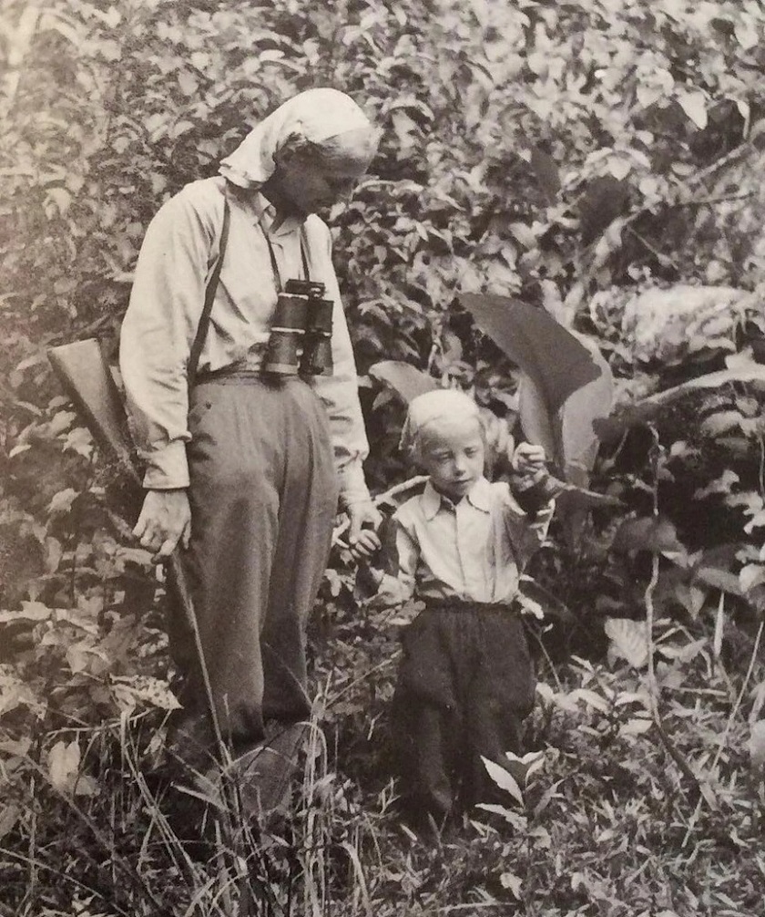 سقوط از آسمان به جنگل بارانی؛ داستان باور نکردنی زنده ماندن جولیان کوپکه سقوط از آسمان به جنگل بارانی؛ داستان باور نکردنی زنده ماندن جولیان کوپکه
