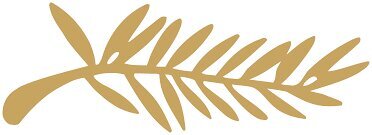 آغاز ماراتن سینمایی کن از سه شنبه