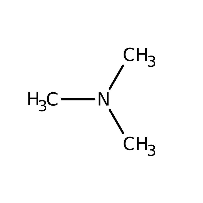 تری متیل آمینوری: آنچه باید در مورد سندرم بوی ماهی بدانیم