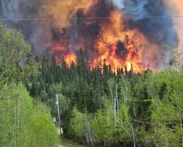 آتش در جنگلهای کانادا آتش در جنگلهای کانادا