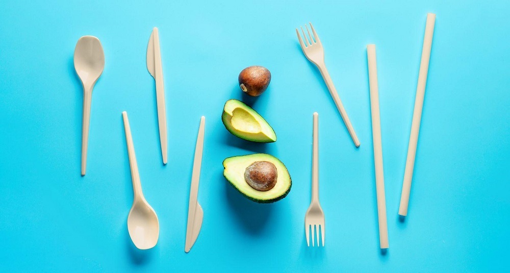 هسته آووکادو هسته آووکادو