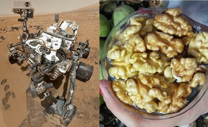 آرزوی فیروز نادری که برآورده نشد: فال گردویی که نخرید! آرزوی فیروز نادری که برآورده نشد: فال گردویی که نخرید!