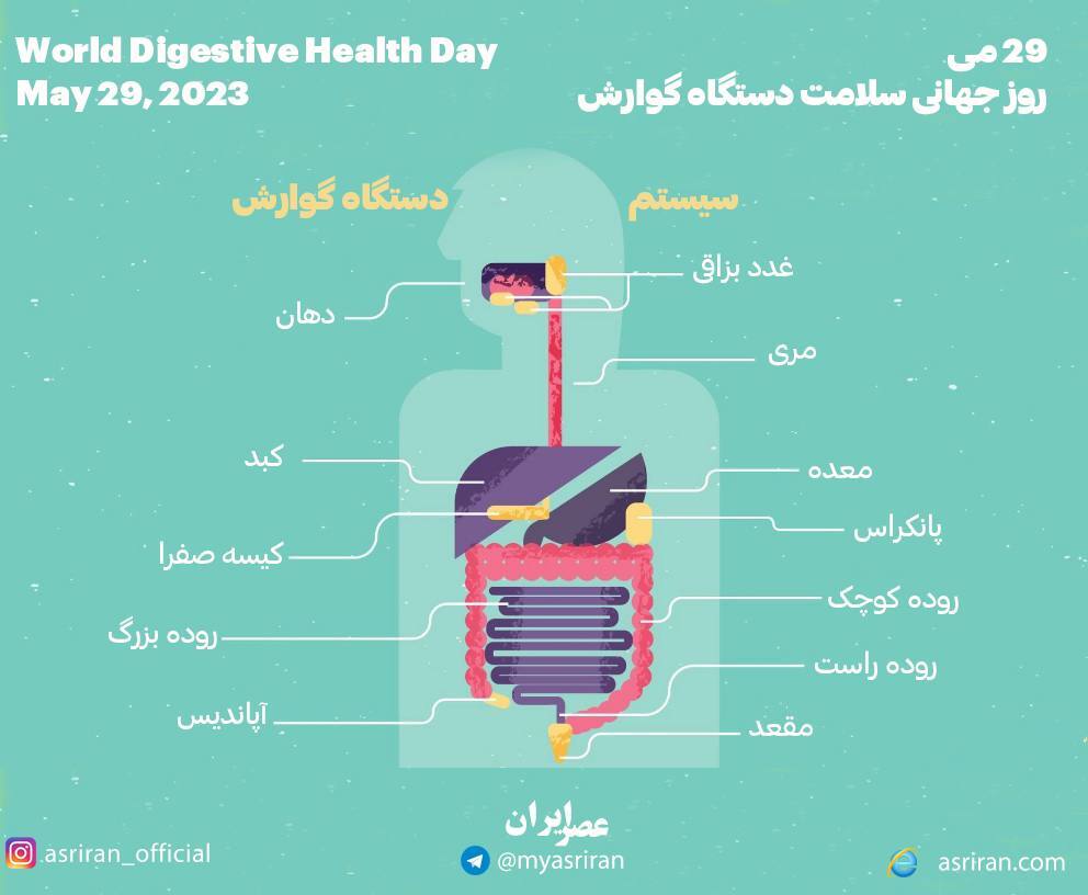 29 می، روز جهانی سلامت دستگاه گوارش (اینفوگرافیک)